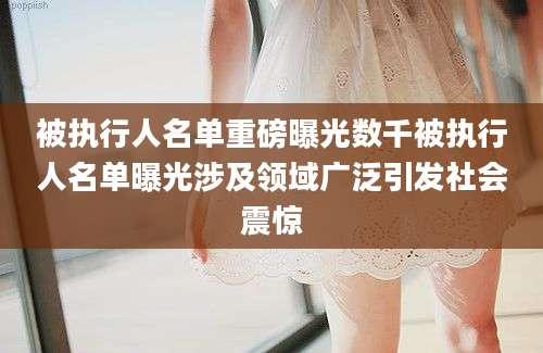 被执行人名单重磅曝光数千被执行人名单曝光涉及领域广泛引发社会震惊
