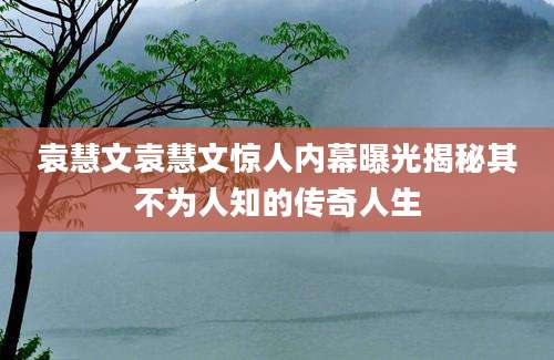 袁慧文袁慧文惊人内幕曝光揭秘其不为人知的传奇人生