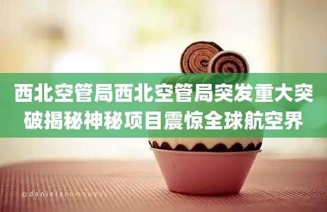 西北空管局西北空管局突发重大突破揭秘神秘项目震惊全球航空界