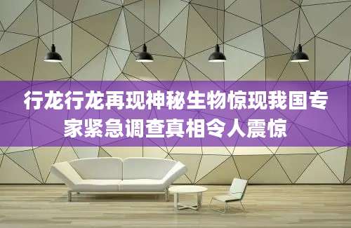 行龙行龙再现神秘生物惊现我国专家紧急调查真相令人震惊