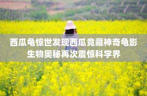 西瓜龟惊世发现西瓜竟藏神奇龟影生物奥秘再次震惊科学界