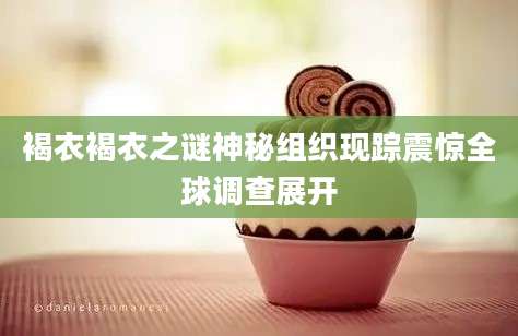 褐衣褐衣之谜神秘组织现踪震惊全球调查展开