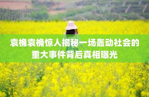 袁桷袁桷惊人揭秘一场轰动社会的重大事件背后真相曝光