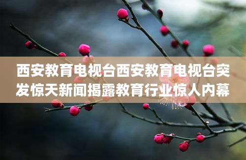 西安教育电视台西安教育电视台突发惊天新闻揭露教育行业惊人内幕