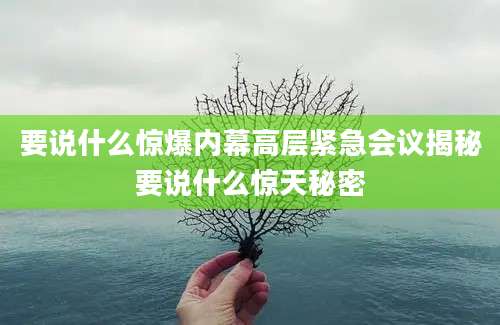 要说什么惊爆内幕高层紧急会议揭秘要说什么惊天秘密