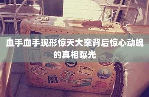 血手血手现形惊天大案背后惊心动魄的真相曝光