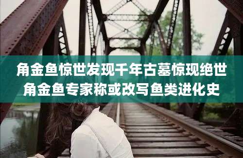 角金鱼惊世发现千年古墓惊现绝世角金鱼专家称或改写鱼类进化史