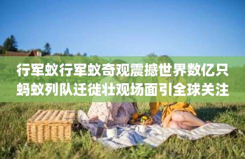 行军蚁行军蚁奇观震撼世界数亿只蚂蚁列队迁徙壮观场面引全球关注