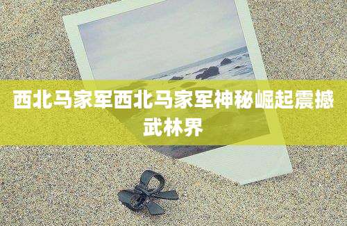 西北马家军西北马家军神秘崛起震撼武林界