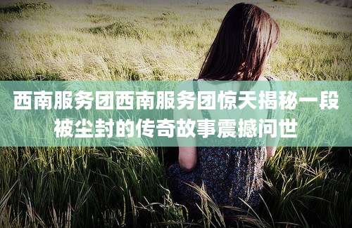 西南服务团西南服务团惊天揭秘一段被尘封的传奇故事震撼问世