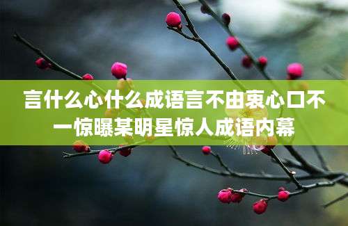 言什么心什么成语言不由衷心口不一惊曝某明星惊人成语内幕