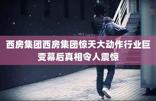 西房集团西房集团惊天大动作行业巨变幕后真相令人震惊