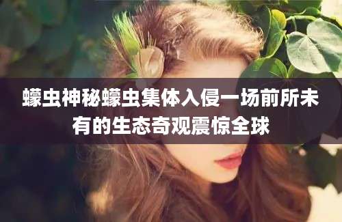 蠓虫神秘蠓虫集体入侵一场前所未有的生态奇观震惊全球