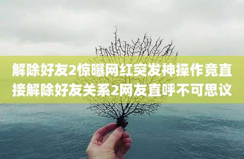 解除好友2惊曝网红突发神操作竟直接解除好友关系2网友直呼不可思议