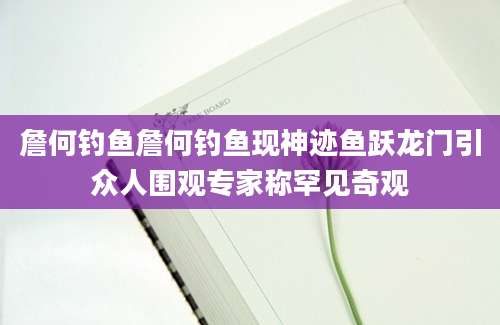 詹何钓鱼詹何钓鱼现神迹鱼跃龙门引众人围观专家称罕见奇观