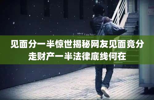 见面分一半惊世揭秘网友见面竟分走财产一半法律底线何在
