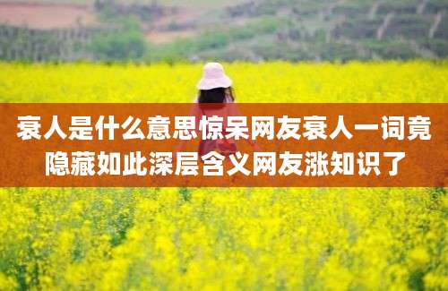 衰人是什么意思惊呆网友衰人一词竟隐藏如此深层含义网友涨知识了