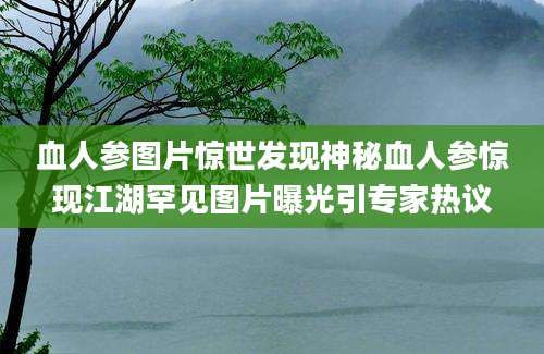 血人参图片惊世发现神秘血人参惊现江湖罕见图片曝光引专家热议