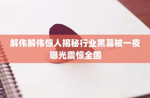 解伟解伟惊人揭秘行业黑幕被一夜曝光震惊全国