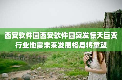 西安软件园西安软件园突发惊天巨变行业地震未来发展格局将重塑