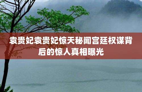 袁贵妃袁贵妃惊天秘闻宫廷权谋背后的惊人真相曝光