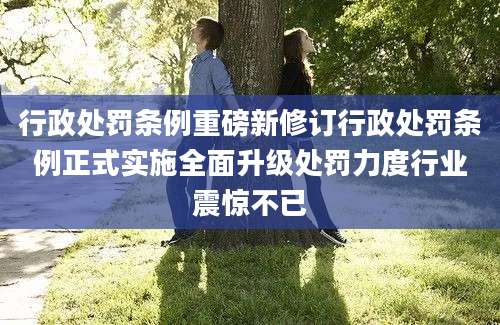 行政处罚条例重磅新修订行政处罚条例正式实施全面升级处罚力度行业震惊不已