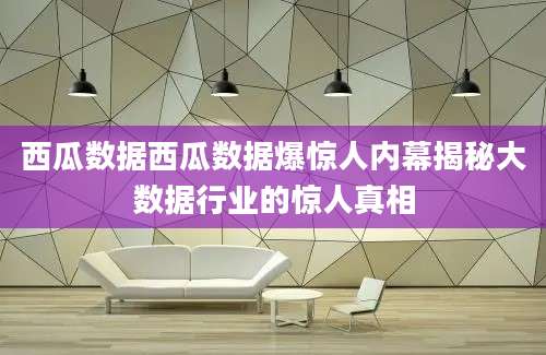 西瓜数据西瓜数据爆惊人内幕揭秘大数据行业的惊人真相