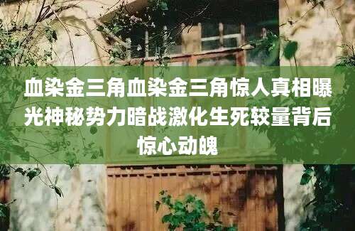 血染金三角血染金三角惊人真相曝光神秘势力暗战激化生死较量背后惊心动魄