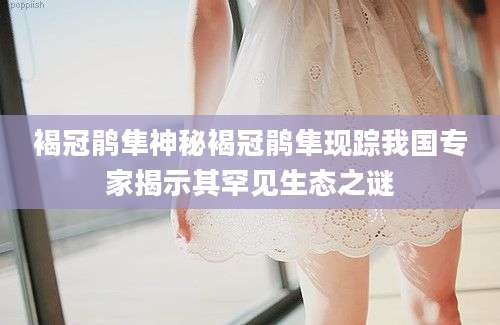 褐冠鹃隼神秘褐冠鹃隼现踪我国专家揭示其罕见生态之谜