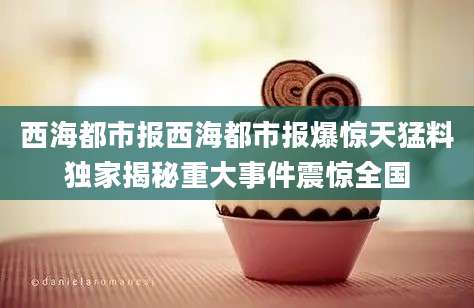 西海都市报西海都市报爆惊天猛料独家揭秘重大事件震惊全国