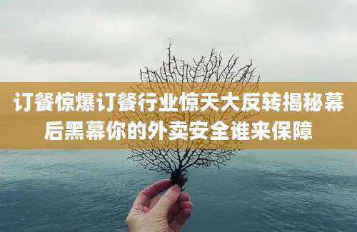 订餐惊爆订餐行业惊天大反转揭秘幕后黑幕你的外卖安全谁来保障