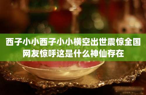 西子小小西子小小横空出世震惊全国网友惊呼这是什么神仙存在