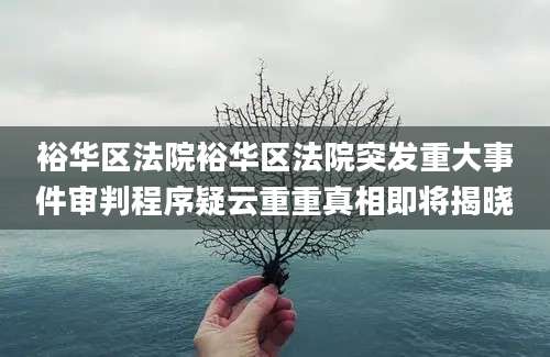 裕华区法院裕华区法院突发重大事件审判程序疑云重重真相即将揭晓