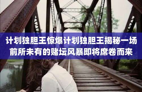 计划独胆王惊爆计划独胆王揭秘一场前所未有的赌坛风暴即将席卷而来
