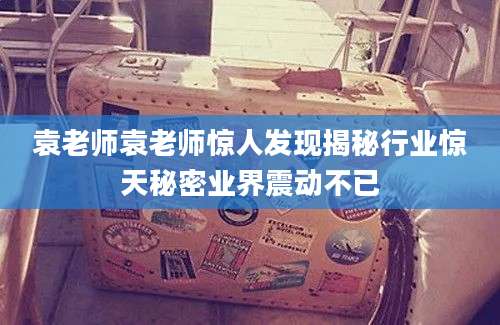 袁老师袁老师惊人发现揭秘行业惊天秘密业界震动不已