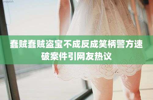 蠢贼蠢贼盗宝不成反成笑柄警方速破案件引网友热议