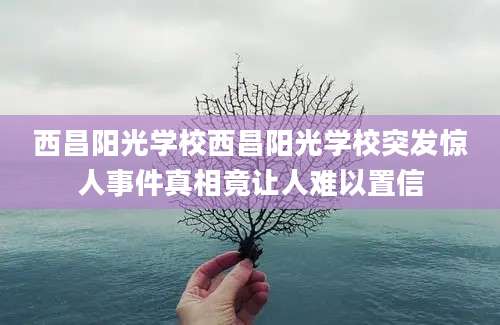 西昌阳光学校西昌阳光学校突发惊人事件真相竟让人难以置信