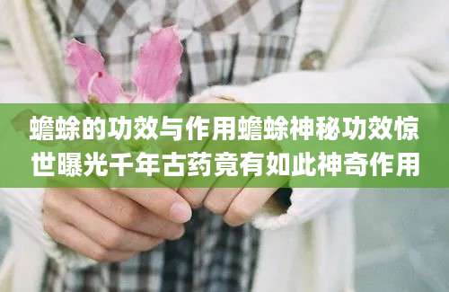 蟾蜍的功效与作用蟾蜍神秘功效惊世曝光千年古药竟有如此神奇作用