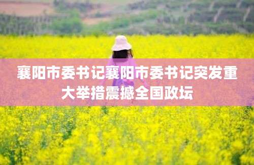 襄阳市委书记襄阳市委书记突发重大举措震撼全国政坛