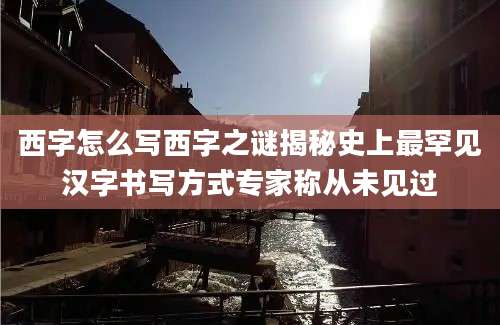 西字怎么写西字之谜揭秘史上最罕见汉字书写方式专家称从未见过