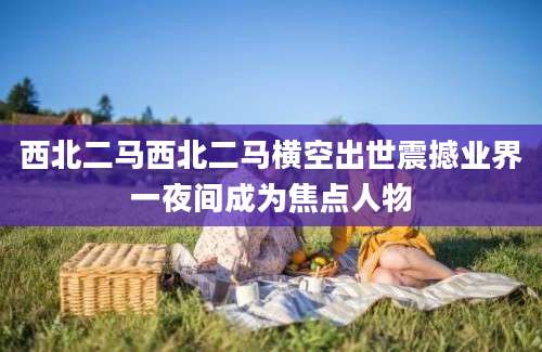 西北二马西北二马横空出世震撼业界一夜间成为焦点人物