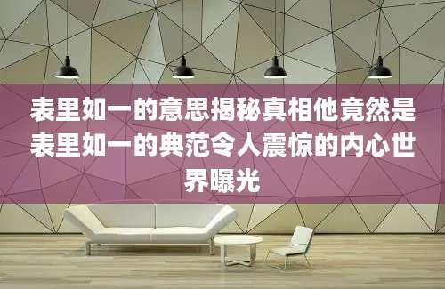 表里如一的意思揭秘真相他竟然是表里如一的典范令人震惊的内心世界曝光