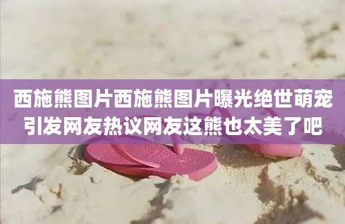 西施熊图片西施熊图片曝光绝世萌宠引发网友热议网友这熊也太美了吧