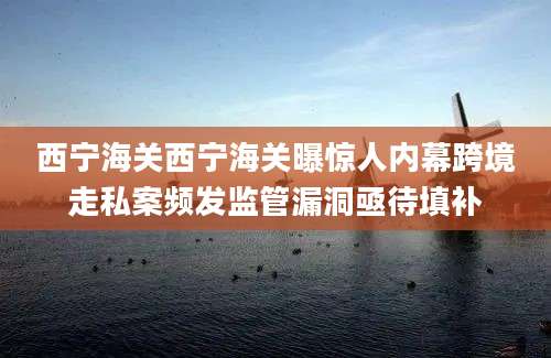西宁海关西宁海关曝惊人内幕跨境走私案频发监管漏洞亟待填补