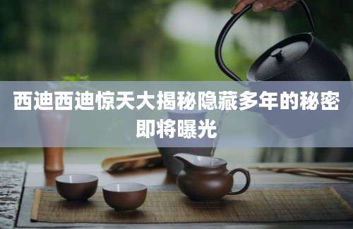 西迪西迪惊天大揭秘隐藏多年的秘密即将曝光