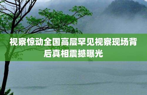 视察惊动全国高层罕见视察现场背后真相震撼曝光