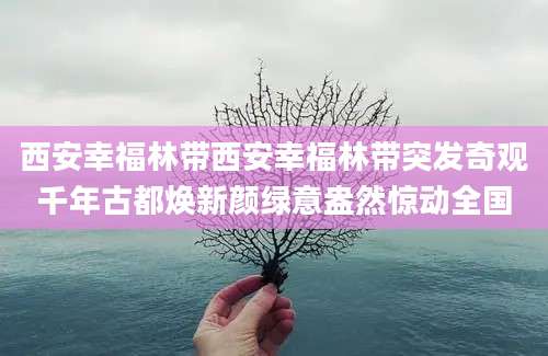 西安幸福林带西安幸福林带突发奇观千年古都焕新颜绿意盎然惊动全国