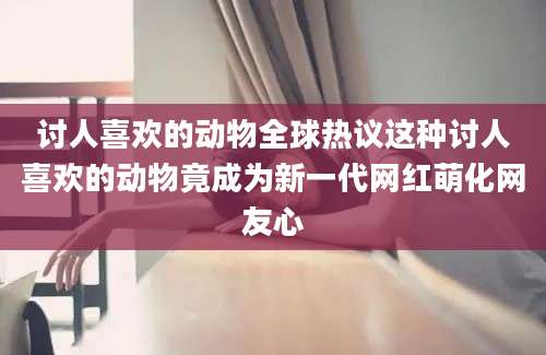 讨人喜欢的动物全球热议这种讨人喜欢的动物竟成为新一代网红萌化网友心
