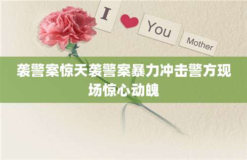 袭警案惊天袭警案暴力冲击警方现场惊心动魄