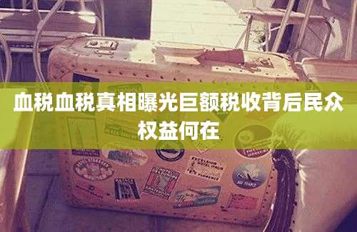 血税血税真相曝光巨额税收背后民众权益何在
